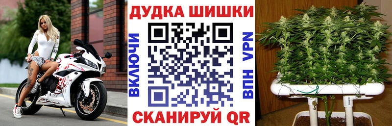 Бошки марихуана марихуана Кондрово